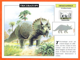 TRICERATOPS  Dinosaure Histoire Préhistoire Fiche Illustree - History