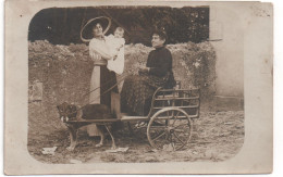 CARTE-PHOTO D'un Attelage De Chien à Situer. - Attelages