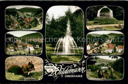 72705396 Wildemann Ortsblick Springbrunnen Kurpark Sanickel Eselsberg Eichhoernc - Wildemann
