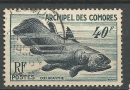 COMORES  N° 13 OBL / Used - Gebruikt