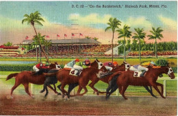 MIAMI (Floride) "On The Backstretch", Hialeah Park. D.C. 32, Envoi 1953 - Miami