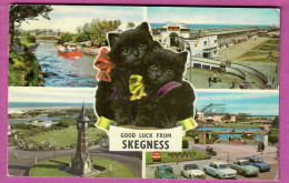 CPA ANGLETTERRE UK - GOOD LUCK FROM SKEGNESS Black Cat Chat Katze Waterway Pier Clock Tower Waterway - Autres & Non Classés