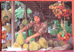Malaisie - A Roadside Hut Selling Rambutans And Durians - The King Of Local Fruits - Malaysia