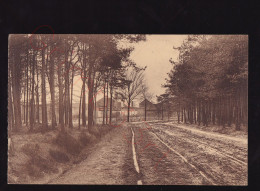 Brasschaet - Sanatorium De Mick - Wandelweg - Postkaart - Brasschaat