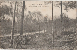 MIK : Yvelines : VIROFLAY : Une  Route  Dans Les Bois - Viroflay