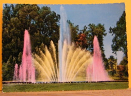 (T1) TORINO - PARCO DEL VALENTINO E LA NUOVA FONTANA LUMINOSA - VIAGGIATA - Parks & Gardens