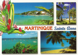 *CPM - 972 - MARTINIQUE - SAINTE ANNE - Multivue - Le Marin
