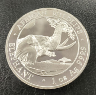 SOMALIA. AÑO 2023. ELEFANTE. 100 SHILLINGS PLATA. PESO 31.3 GR.  REF A/F - Somalia