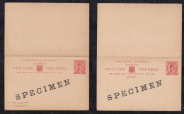 Zanzibar 1908 Stationery Question/reply Postcard 6c SPECIMEN ** MNH - Zanzibar (...-1963)