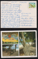 Seychellen Seychelles 1994 Picture Postcard To GARMISCH Germany Gecko Stamp - Seychelles (1976-...)