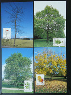 Carte Maximum Card (série De 4) Arbres Trees Bienfaisance Luxembourg 1996 - Maximum Cards