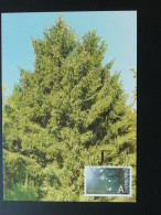 Carte Maximum Card Arbre Tree Epicea Luxembourg 2002 - Maximumkaarten