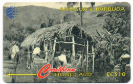 Antigua & Barbuda - Arrowroot Production In Antigua '1905' - 54CATA - Antigua Et Barbuda