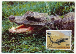 CONGO - Carte Maximum - 125F Poste Aérienne - African Dwarf Crocodile - Premier Jour 1987 - Altri & Non Classificati