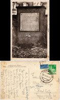 Emmendingen Grab Von Goethes Schwester Cornelia Ansichtskarte 1951 - Emmendingen