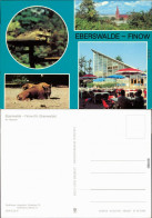 Finow Eberswalde Im Tierpark Ansichtskarte 1981 - Eberswalde