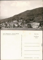 Waltersdorf Großschönau  Panorama-Ansicht, Sonneberg Mit Grenzbaude 1965 - Grossschoenau (Sachsen)