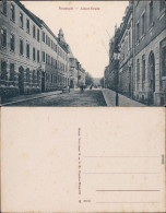 Neustadt  (Sachsen) Partie In Der Alberstraße Ansichtskarte B Sebnitz  1915 - Neustadt