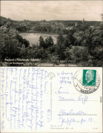 Ansichtskarte Buckow (Märkische Schweiz) Blick Vom Storchennest 1960  - Buckow