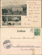 Ansichtskarte Springe 2 Bild: Jagdschloss - Wildschweine 1901  - Springe