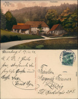 Ansichtskarte Eisenberg (Thüringen) Partie An Der Froschmühle 1913  - Eisenberg