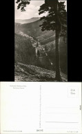 Ansichtskarte Tambach-Dietharz Dietharzer Grund 1959 - Tambach-Dietharz