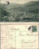 Ansichtskarte Wolfach (Schwarzwald) Blick Auf Den Ort 1913 - Wolfach