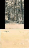 Ansichtskarte Schmannewitz-Dahlen Moosbänke Im Wald, Wanderer 1900 - Dahlen