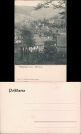 Ansichtskarte Wildemann (Innerstetal) Blick Auf Die Stadt 1900 - Wildemann