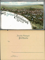 Litho Ansichtskarte Bad Frankenhausen Blick Auf Die Stadt 1900 - Bad Frankenhausen