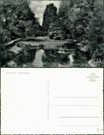Ansichtskarte Alfeld (Leine) Park Mit Teich 1965  - Alfeld