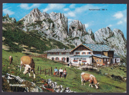 Deutschland Am Chiemsee - Bayerische Alpen Steinlingalm Mit Kampenwand (N-822) - Chiemgauer Alpen