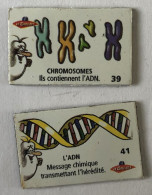 2 Magnets Biologie - ADN Et Chromosomes - Le Gaulois - Il était Une Fois La Vie - Otros & Sin Clasificación