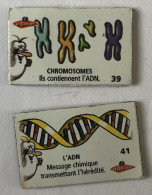 2 Magnets Biologie - ADN Et Chromosomes - Le Gaulois - Il était Une Fois La Vie - Other & Unclassified