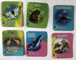 6 Magnets Animaux - Petit écolier - Castor - Apollon - Loup - Flamant Rose - Rorqual - Dauphin - Tierwelt & Fauna