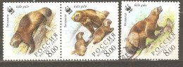 Russia: 3 Used Stamps Of A Set, Wild Animals - Wolverine, 2004, Mi#1198-9 - Usati