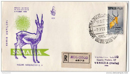 Postal History: Somalia Cover - Gibier