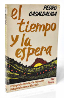 El Tiempo Y La Espera. Poemas Inéditos - Pedro Casaldaliga - Autres & Non Classés