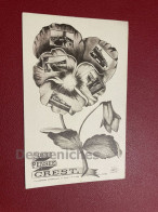 Delcampe - 26400 Crest - Une Pensée De... - Crest