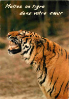Animaux - Fauves - Tigre - Carte à Message - CPM - Voir Scans Recto-Verso - Tigers