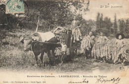Labéraudie , Pradines * Récolte Du Tabac * 1906 * Tabac TABAC * Environs De Cahors * Le Lot Illustré - Andere & Zonder Classificatie