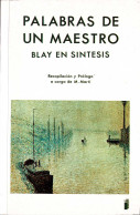 Palabras De Un Maestro. Blay En Síntesis - M. Martí (rec.) - Filosofía Y Sicología