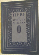 Allemagne Tiere In Schonen Bildern Karl Robert Leipzig 129 Pages Animaux Oiseaux - Photography