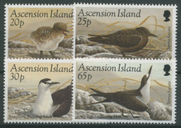 Ascension 1994 Vögel Rußseeschwalbe 645/48 Postfrisch - Ascension