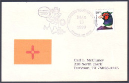 US Postcard Gem And Mineral Deming, NM MAR 13, 1999 ( A91 645) - Minerals