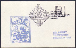 US Postcard Rockamania Lordsburg, NM FEB 15, 1997 ( A91 630) - Minerals