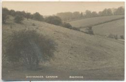 Shothanger Common, Boxmoor - Hertfordshire