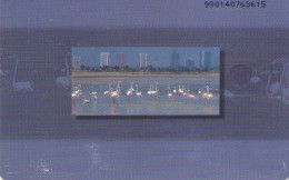 EMIRATOS ARABES UNIDOS. UAE-C-079. Flamingos (C/N "9901"). 1999. (080) - Emirats Arabes Unis