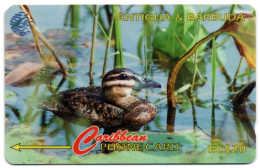 Antigua & Barbuda - Masked Duck - 104CATD (with Slashed Ø) - Antigua U. Barbuda