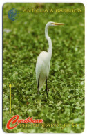 Antigua & Barbuda - Great Egret - 104CATC (with Ø) - Antigua E Barbuda